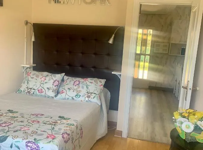 La De Pisones 希洪