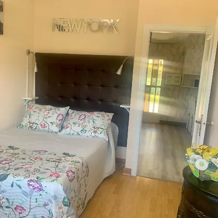 La De Pisones 希洪